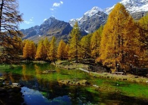 Art hand Auction Spektakuläre Aussicht, Waldbaden, Lago Blau, Nord Italien, Matterhorn, Tapetenposter im Malereistil, Extragroßes A1-Format, 830 x 585 mm (Typ mit ablösbarem Aufkleber) 005A1, Gedruckte Materialien, Poster, Wissenschaft, Natur