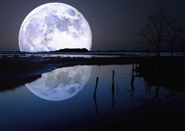Big Moon and Lake, Lake Surface Reflection, Full Moon, Moon, Celestial Body, Mystery, Healing, Painting Style, Wallpaper Poster, A2 Size 594 x 420 mm (Removable Sticker Type) 012A2, Printed materials, Poster, others