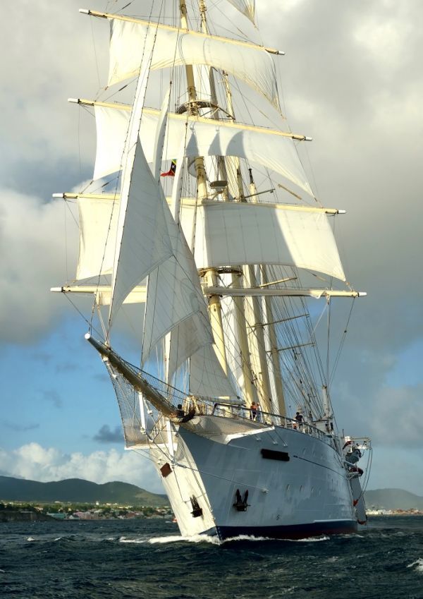 帆船 LADY of AVENEL UK クリッパー セーリング･シップ 航海 海 絵画風 壁紙ポスター A2版 420×594mm はがせるシール式 028A2, アンティーク, コレクション, 乗り物, 船
