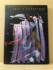 DVD デヴィッド・シルヴィアン『Amplified Gesture』送料185円 David Sylvian JAPAN ジャパン 大友良英