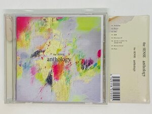 即決CD the SENSE anthology / Players , 288 , 星屑 , Morning call / アルバム 帯付き X16