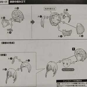 AG0625-4 メガミデバイス アリスギアアイギス 金潟 すぐみ ヘッドパーツの画像2