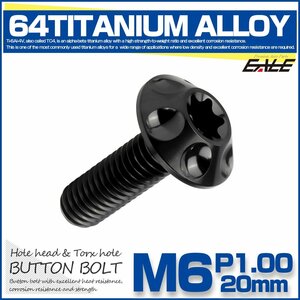 64チタン M6×20mm P1.0 ボタンボルト ホールヘッド T型 トルクス穴 チタンボルト ブラック JA1359