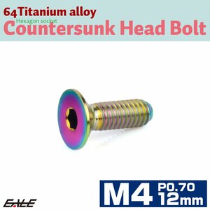 チタンボルト M4×12mm P0.7 皿ボルト 六角穴 皿 キャップボルト レインボー 虹色 JA1475