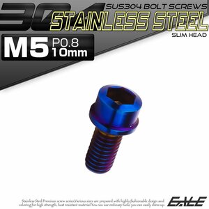 キャップボルト M5×10mm P0.8 六角穴付きボルト スリムヘッド 焼きチタンカラー カスタムボルト ステンレス製 TB1087