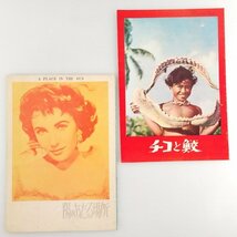 当時物　レトロ　映画　洋画　パンフレット　約56冊　まとめ　チラシ　1950年代　昭和25~34年代　ヴィンテージ　2363127_画像10