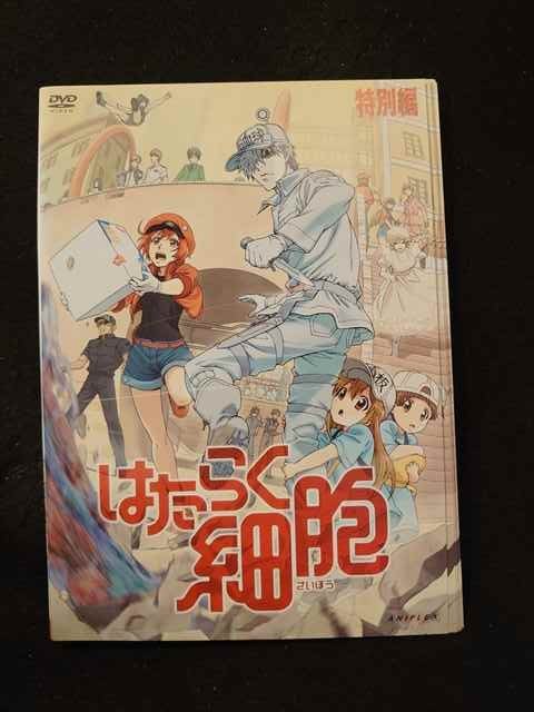 わずかなスレ有り良品♪ はたらく細胞 7巻セット DVD | www.gamescaxas.com