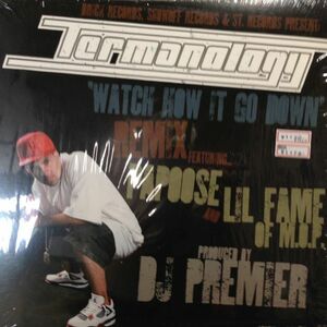 12inchレコード TERMANOLOGY / WATCH HOW IT GO DOWN REMIX (DJ PREMIER)