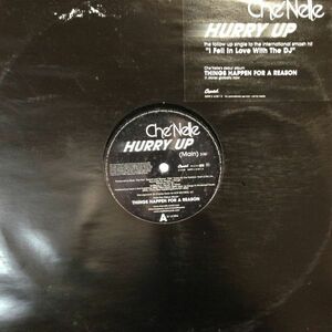 12inchレコード CHE'NELLE / HURRY UP feat. TINCHY STRYDER