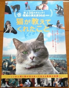 ☆☆値下げしました 映画チラシ「猫が教えてくれたこと」【2017】