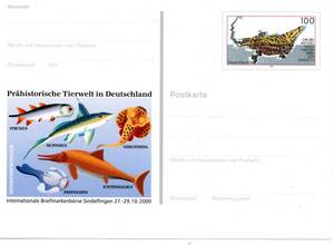〒【TCE】66991 - ドイツ・２０００年・恐竜/化石・官製記念葉書