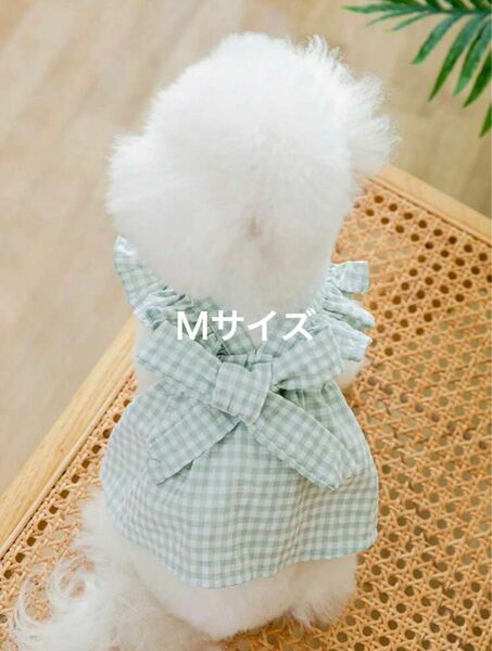 犬服ミントグリーン ギンガムチェックワンピース Mサイズ