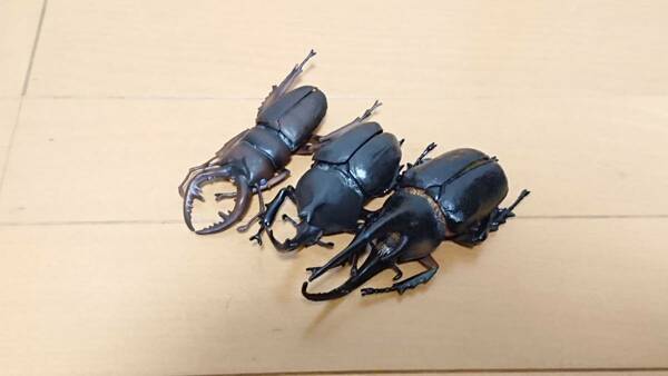 カブトムシ クワガタ ミヤマクワガタ ネプチューン オオカブト フィギュア 昆虫 レア 希少