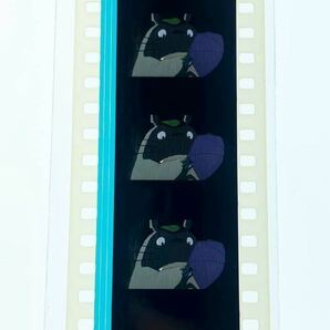 『となりのトトロ (1988) MY NEIGHBOR TOTORO』35mmフィルム 5コマ スタジオジブリ 映画 Film トトロ 雨の中 Studio Ghibliの画像2