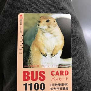  sendai city traffic department Prairie dog bus card . tree mountain zoo 