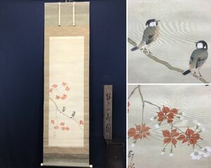 Art hand Auction Authentisch/Okada Sosui/Kirschblüten und kleine Vögel/Kirschblüten und kleine Vögel//Hängerolle ☆Schatzschiff☆AC-477, Malerei, Japanische Malerei, Blumen und Vögel, Tierwelt