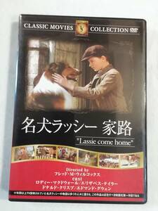 洋画DVD『名犬ラッシー　家路』セル版。ロディ・マクドウォール。エリザベス・テイラー。カラー作品。1943年。日本語字幕。即決。