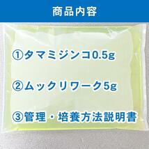 ■送料無料■タマミジンコ0.5g（500匹以上:死着保証あり:ネコポス:自家培養:クロレラ水入り:ムックリワーク5g付）_画像4