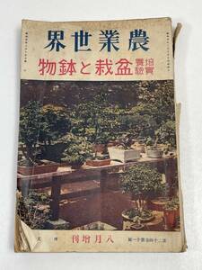 戦前 農業世界 盆栽と鉢物 8月号 1965年 昭和40年【H52043】