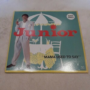 JUNIOR / MAMA USED TO SAY /TEE SCOTT,GARAGE,LARRY LEVAN,DOUBLE D & STEINSKI ネタの画像1