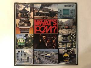 30609S 見本盤 12inch EP★WHAT'S PCM?★OW-7402-ND