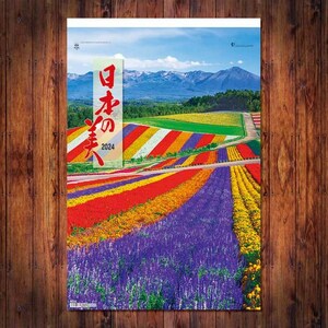 #2024 календарь #to- рукоятка * высокий DX японский прекрасный плёнка #TD-565#