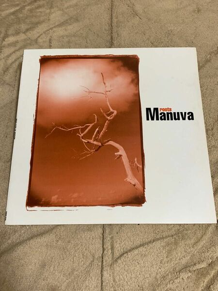 ★貴重盤★ROOTS MANUVA★NEXT TYPE OF MOTION★アナログ★