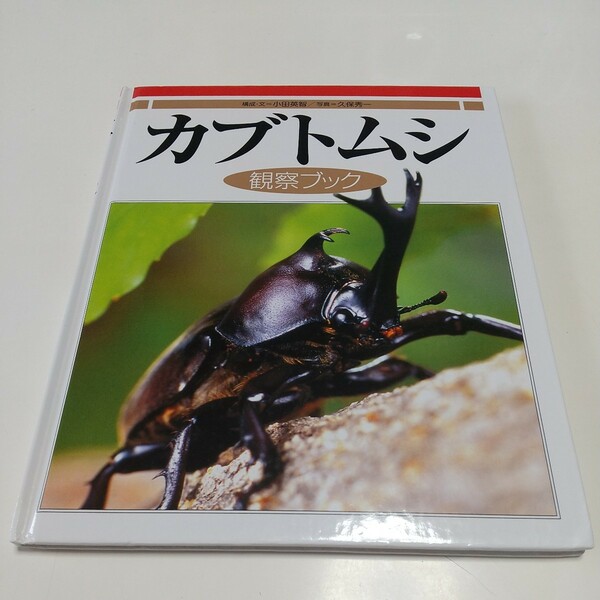 カブトムシ 観察ブック 小田英智 久保秀一 偕成社 中古 昆虫 生物学 研究