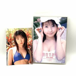 別府かおり「マシュマロ」メッセージ付きポストカード付 アイドルイメージDVD グラビア 水着/ビキニ【良品】 #8275