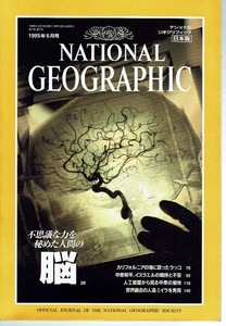 ナショナルジオグラフィック日本版 1995年6月号・ 脳/2306043