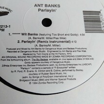 や23　ANT BANKS PARLAYIN' (featuring Goldy) レコード LP EP 何枚でも送料一律1,000円 再生未確認_画像7