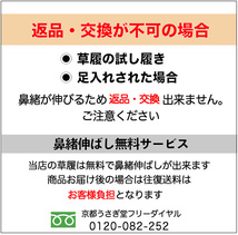 決算セール LLサイズ 厚底　草履バッグセット 西陣織 zb-021 帯地 振袖用 振袖 成人式 日本製 赤 レッド 金 ゴールド_画像10