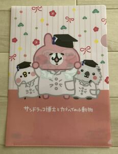 【カナヘイの小動物〜サンドラッグとのコラボクリアファイル、サンドラッコ博士とカナヘイの小動物】レア！A4