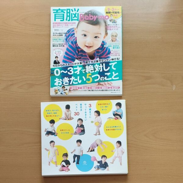 3歳までにやっておきたい育児法ベスト30 育脳 0から3才で絶対しておきたい5つのこと