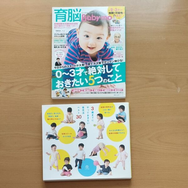 ３歳までにやっておきたい育児法ベスト30 　 育脳 0から3才で絶対しておきたい5つのこと 