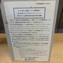 南野陽子　1988年グレナダ国発行　記念切手　未使用　海外切手　小型シート (a)_画像2