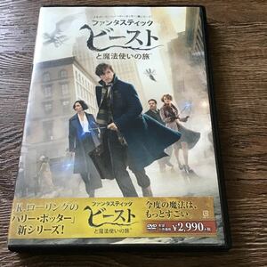 ファンタスティックビーストと魔法使いの旅-DVD-エディレッドメイン　DVD