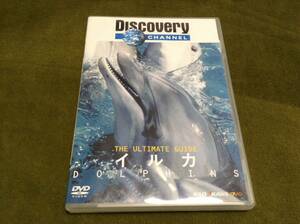 ◇ディスカバリーチャンネル THE ULTIMATE GUIDE イルカ DOLPHINS DVD 国内正規品 Discovery CHANNEL 完全ガイド イルカのすべて 即決