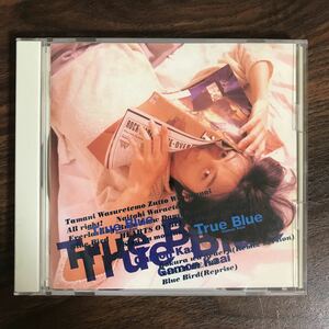 E381 中古CD100円 河相我聞　True Blue