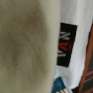 VAN JAC KENT IN TRADITION SCENE ROPE DOMON 中古 Tシャツ クリーム イエロー  サイズ Mの画像3