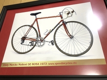 送料込み）自転車のポートレート　EDDY MERCKX（エディ・メルクス）MOLTENI DE ROSA　デ・ローザ 1973　カンパレコード_画像5