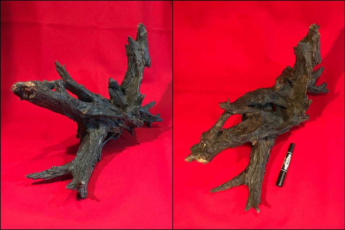 A5941●Antique Object Ornament Driftwood A mysterious tree where you can see lots of foxes For art materials etc. Approximately 52 x 35 x 20 cm There are scratches and dirt., handmade works, interior, miscellaneous goods, ornament, object