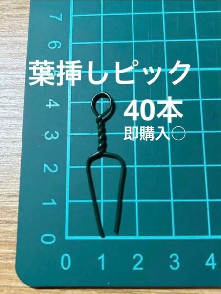 多肉植物 葉挿しピック 40個 ランナーおさえピン