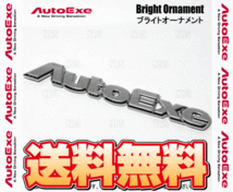 AutoExe オートエクゼ Bright Ornament ブライト オーナメント 155×20ｍｍ ロゴ (A12500_画像2