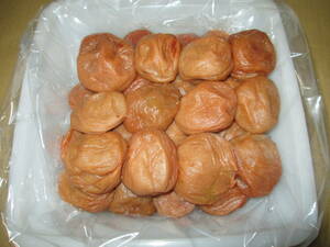  no addition .. south height plum white dried . pan production 5L approximately 2 kilo ( exclusive use container )