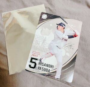 千葉ロッテ　球場限定　選手カード（5安田）