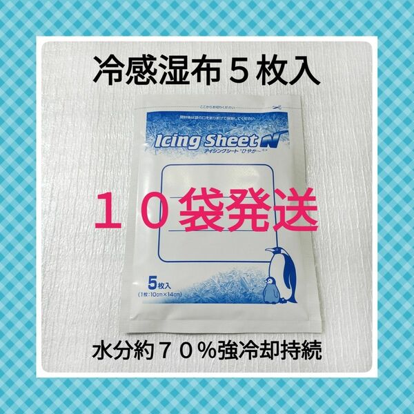 アイシングシート　アイシングシートＮ　５枚×１０袋　湿布　キネシオテープ　コルセット　腰痛　スポーツケア用品