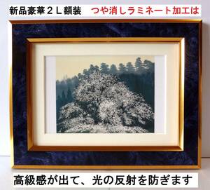 Art hand Auction 高級感!千住 博(春 平成元年)豪華2L額装 つや消しラミネート加工 ポストカード 高級マット台紙 ･プレゼント付き, 美術品, 絵画, その他