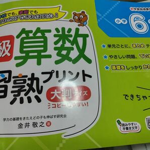 小学校6年。算数。習塾プリント。大判サイズ。 問題集