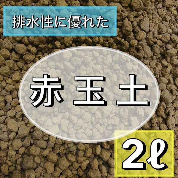 赤玉土 2L 小粒 多肉植物 サボテン 観葉植物 土 ガーデニング　エケベリア　玉扇　